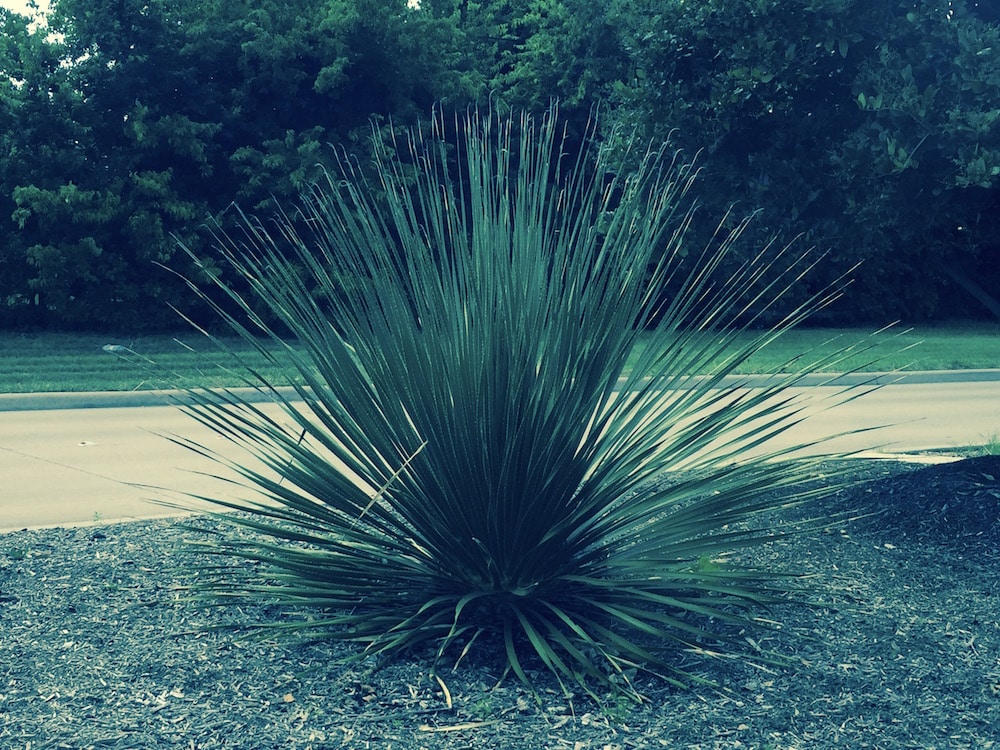 7700 JWC – Landscape 7700 JWC – Landscape