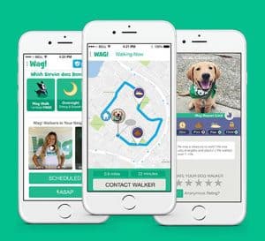 Wag Walking App