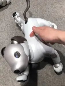 Robot Dog from Sony